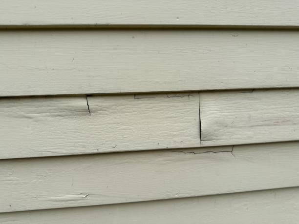 Best Historical Building Siding Restoration  in Bayshore Gardens, FL